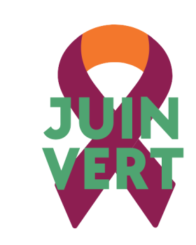 Logo article